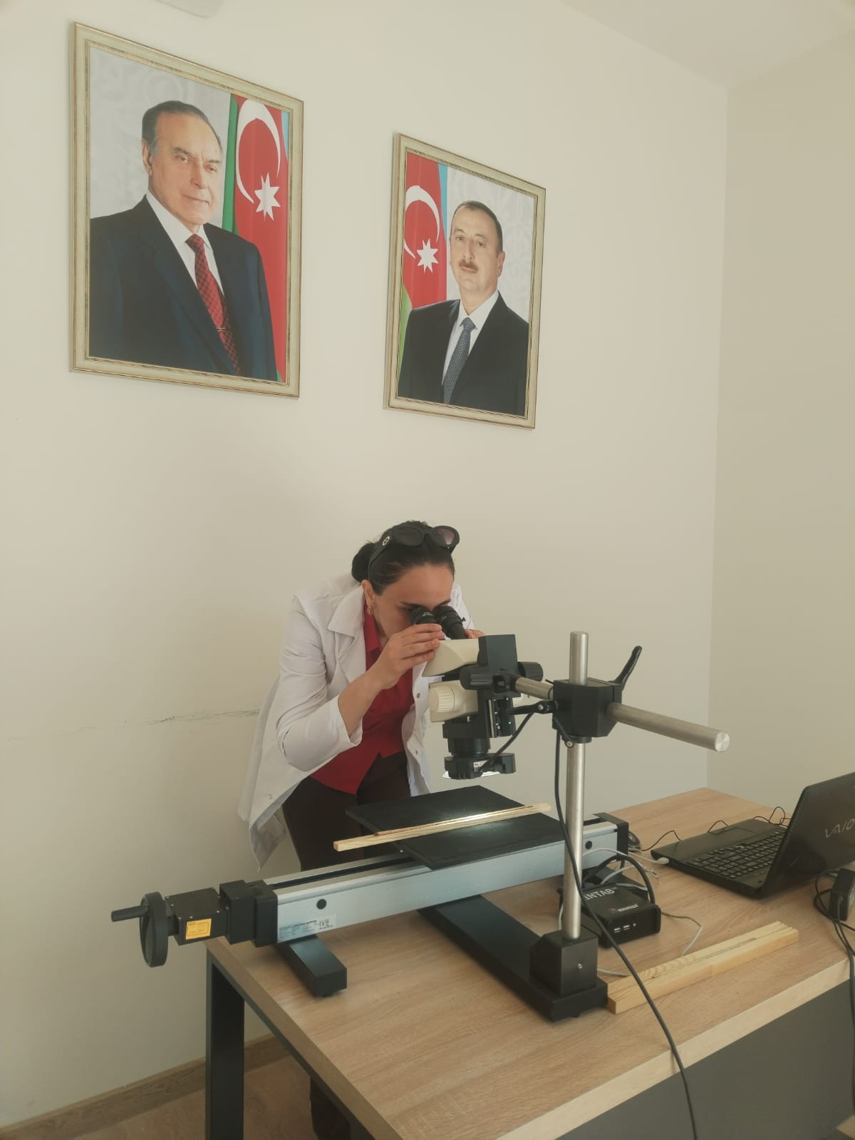 Carbon absorption capacity of greening utilized in Baku and Absheron landscaping determined